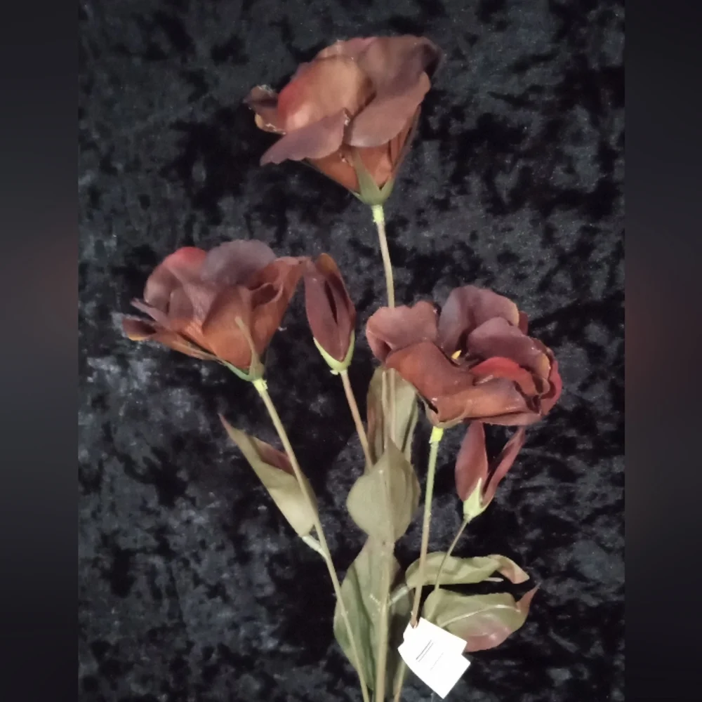 2 Dozen  Micro Peach Buttercup Spray Dark Brown
